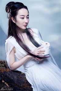 白富美女神的贴身高手柳嫣然路远