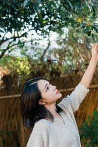 总裁大人接招吧韩献禹芊芊热门网络小说推荐_全集免费小说总裁大人接招吧韩献禹芊芊