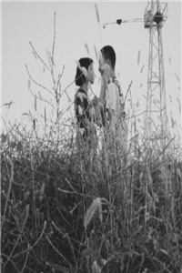 无弹窗全文免费阅读多子多福，从娶妻开始争霸天下(路辰穆紫萱)_多子多福，从娶妻开始争霸天下(路辰穆紫萱)热门好看小说