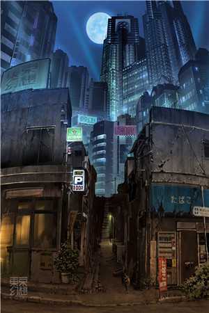 爱你却无颜以对(苏洛雨江昊)_《爱你却无颜以对》全章节免费在线阅读