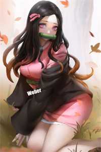 苏轻柔赵无名《上门女婿的逆袭》完结版免费在线阅读_(上门女婿的逆袭)全本在线阅读