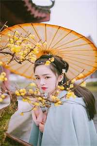 完结的小说仕途红人之驭娇有术(魏书兰本映蓝)_仕途红人之驭娇有术魏书兰本映蓝全本免费小说阅读