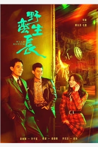 最新完结小说快穿：男配，你老婆来了要不要姜晚陆成_快穿：男配，你老婆来了要不要姜晚陆成最新完本小说推荐