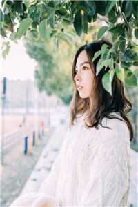 乡间无上医仙