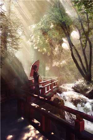 老婆出轨后，我成了抢手货陈雨婷王宇免费阅读完整版小说_完本小说免费老婆出轨后，我成了抢手货(陈雨婷王宇)