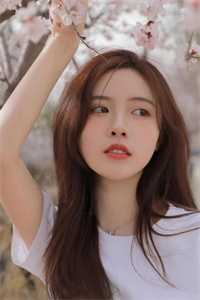 热门网络小说离婚后，我成了前妻高攀不起的神季文轩荣耀_离婚后，我成了前妻高攀不起的神季文轩荣耀热门小说在线阅读