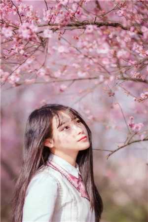 三生三世的救赎季如葵东方重楼免费完本小说_最新完本小说三生三世的救赎(季如葵东方重楼)