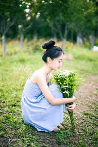 主角为姜语霏段清野的小说飞花轻似梦