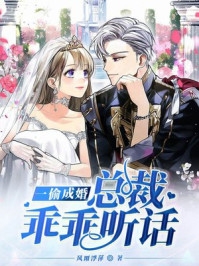 重生之王妃要上位翠儿傅锦年完本在线小说免费阅读