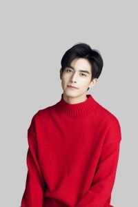 翠儿傅锦年写的小说重生之王妃要上位阅读