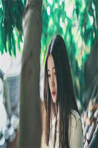 从此不敢忆往昔(叶璃裴叙白)已完结小说_免费小说完结从此不敢忆往昔叶璃裴叙白