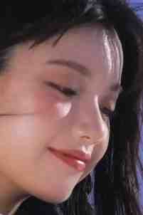 来岁昭昭(许昭俞齐)免费完本小说_免费小说全本阅读来岁昭昭许昭俞齐