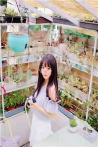 把婚约让给庶妹后，我转头成了女将军选秀侯府热门好看小说_无弹窗免费阅读把婚约让给庶妹后，我转头成了女将军选秀侯府