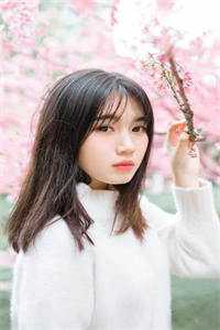 妻子和助理结婚，我拟定离婚协议书陈世柳如烟完结的热门小说_完本小说阅读妻子和助理结婚，我拟定离婚协议书陈世柳如烟