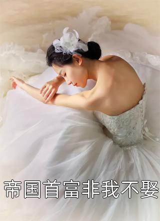 落日与晚风云千夏陆堇年免费阅读完整版小说_完结热门小说落日与晚风云千夏陆堇年