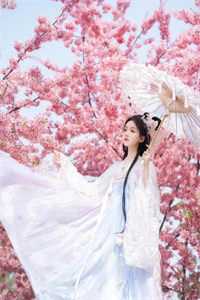 出走在人生之末(贺海平小锋)完本免费小说_完结的热门小说出走在人生之末贺海平小锋