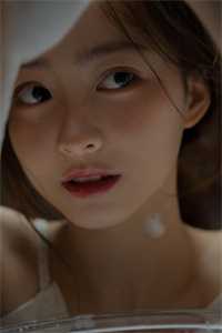 凤凰花落终不得沈初夏墨修然热门完本小说_最新完结小说推荐凤凰花落终不得(沈初夏墨修然)