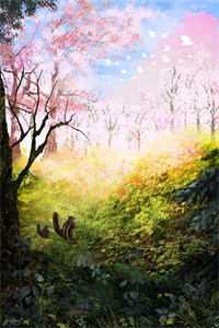 犹为离人照落花君灵薇陆言澈全本完结小说_免费完结小说犹为离人照落花君灵薇陆言澈