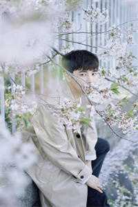 乡村神医真快活！李向阳赵兰花全本完结小说_最新小说全文阅读乡村神医真快活！(李向阳赵兰花)